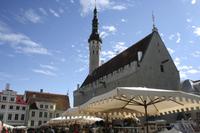 Tallinn - Rathaus