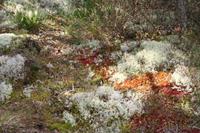 Lahemaa Nationalpark