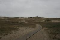 Kurische Nehrung - Tote Dünen