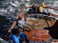 Rigaer Bucht die Zweite