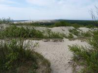 Wanderdüne Kurische Nehrung