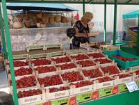 Erdbeeren in Riga