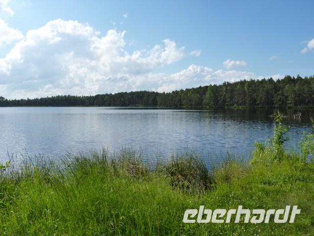 See im Nationalpark Jurmala