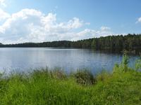 See im Nationalpark Jurmala