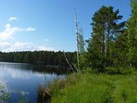 See im Nationalpark Jurmala