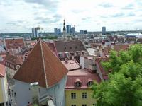 Blick von der Terrasse auf Tallinn