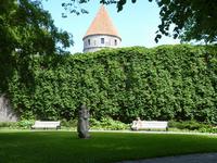Parkanlage an der Stadtmauer