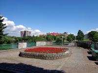 Blumen am Paradeplatz von Kaliningrad