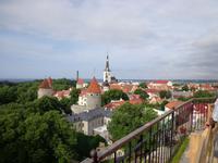 Blick von der Oberstadt auf die Altstadt von Tallinn