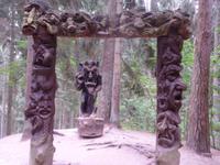 im Hexenwald von Schwarzort