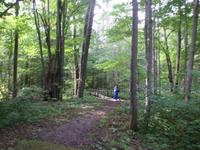 Wanderweg im Kemerie NP