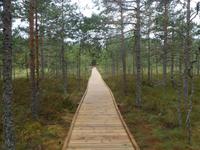 Wandersteg im Lahemaa NP