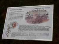 was gibt es zu sehen?,Lahemaa NP