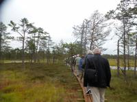 auf gehts,Lahemaa NP