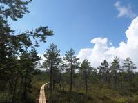 Wandersteg im Lahemaa NP