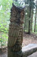 auf dem Hexenberg an der Kurischen Nehrung