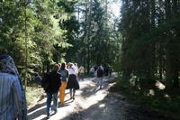 Moorwanderung im Laheema-Nationalpark