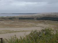 Sanddüne auf der Kurischen Nehrung
