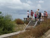 Eberhardt Gäste in Palanga