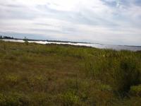 Landschaft in Kuressaare