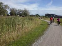 Radgäste in Kuressaare