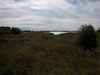 Landschaftsbild in Kuressaare