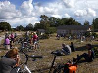 Reisegäste machen eine Pause auf Saaremaa