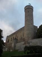 Langer Hans in Tallinn