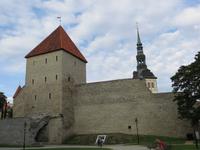 Stadtmauer Tallinn