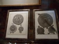 Burg Trakai, Münzsammlung