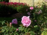 Baltikum Juni 2014 150, Szenen aus Riga