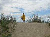Litauen, Kurische Nehrung, Hohe Düne - Sanddiebin