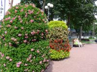 Lettland, Majori, Blumenschmuck