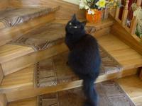 Lettland, Ragana, Gast. Hexe