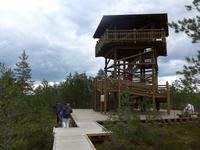 Estland, Lahemaa-NP , Hochmoor