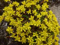 Estland, Gutshof Palmse