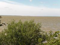 Blick auf die Kurische Nehrung in Vente - Litauen