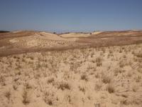 Düne auf der Kurischen Nehrung
