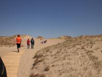 Düne auf der Kurischen Nehrung