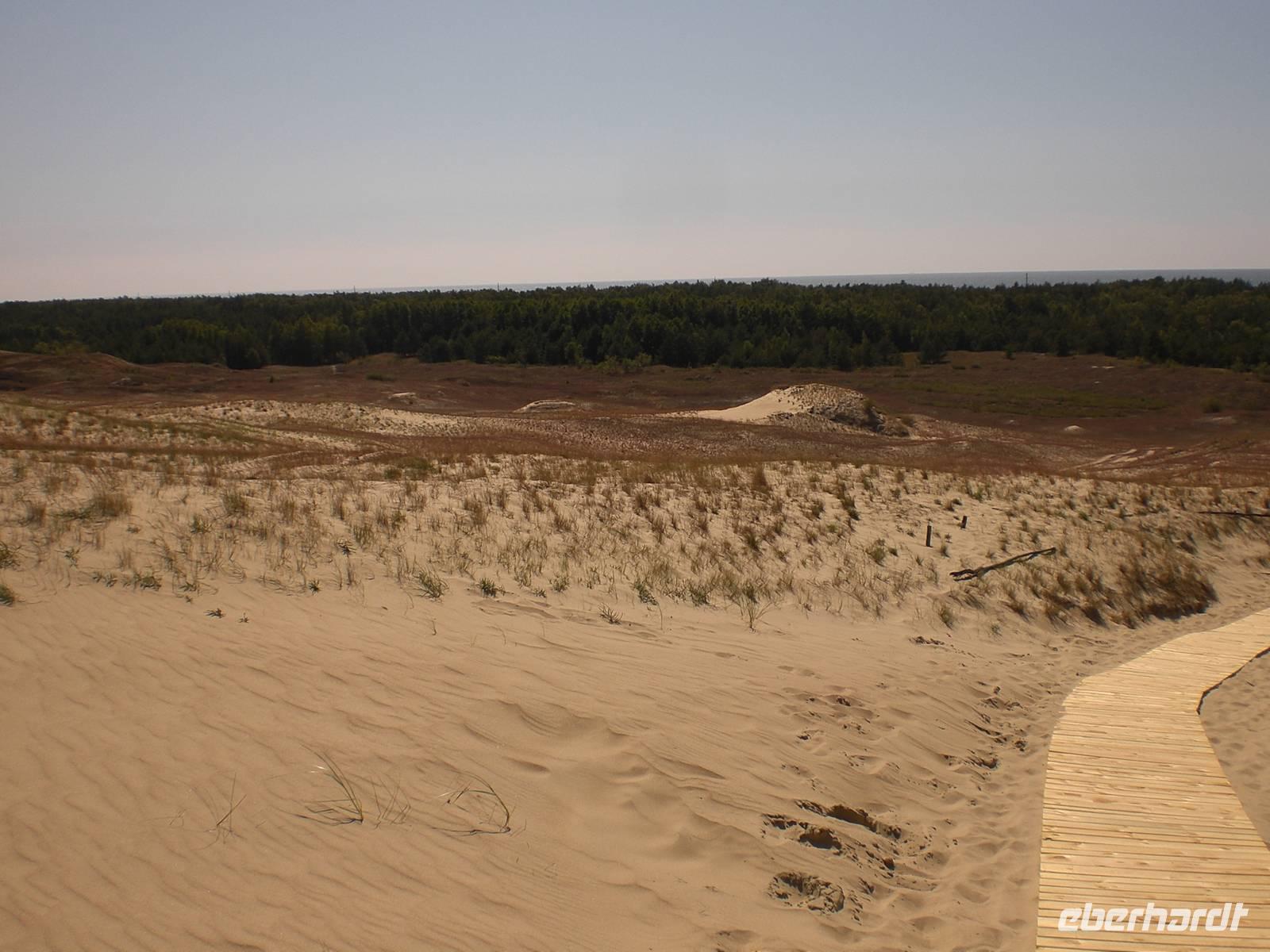 Blick von der Düne über die Kurische Nehrung