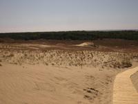 Blick von der Düne über die Kurische Nehrung