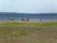 Reisegäste auf der Insel Saaremaa mit Blick auf die Ostsee