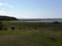 Panoramablick auf der Insel Saaremaa