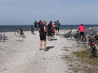 Radgäste auf Steinsammlung auf der Insel Saaremaa