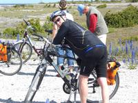 Auf der Insel Saaremaa