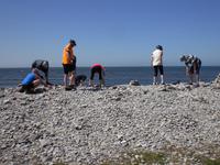 Gäste bauen einen Wunschsteinturm