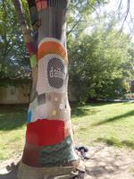 Damit der Baum nicht friert