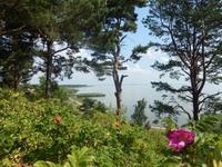 Blick vom Thomas-Mann-Haus