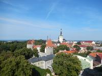 Fernblick auf Tallinn