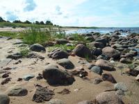 Picknick an der Ostsee